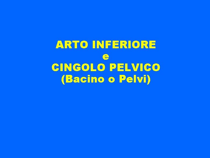 ARTO INFERIORE e CINGOLO PELVICO (Bacino o Pelvi) 