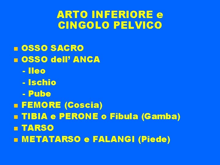 ARTO INFERIORE e CINGOLO PELVICO OSSO SACRO OSSO dell’ ANCA - Ileo - Ischio