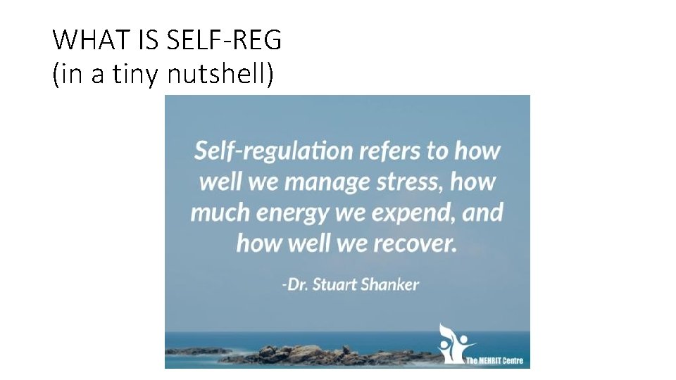 WHAT IS SELF-REG (in a tiny nutshell) 