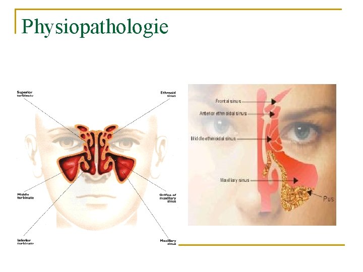 Physiopathologie Physiopathologie