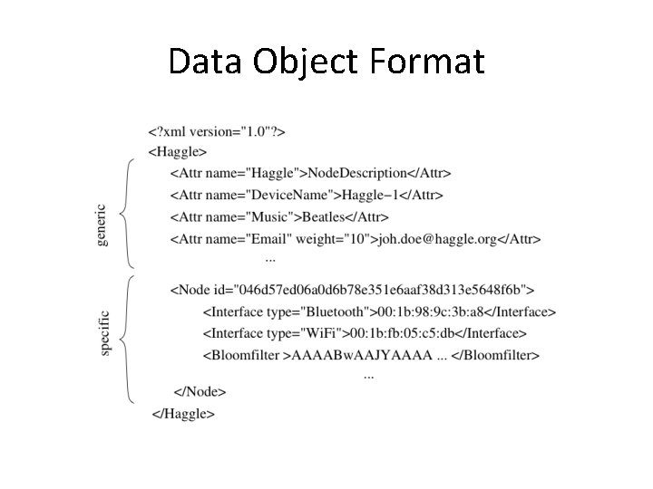 Data Object Format 