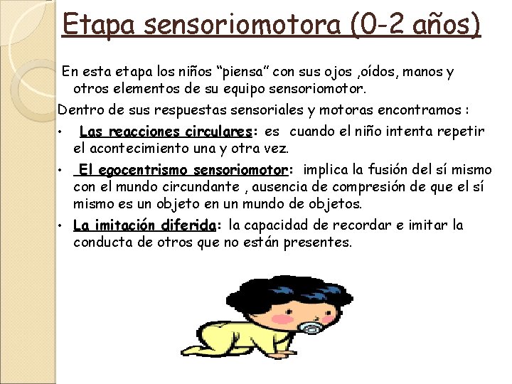 Etapa sensoriomotora (0 -2 años) En esta etapa los niños “piensa” con sus ojos