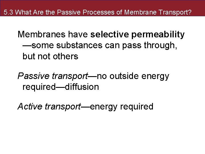 Passive Process 5 The Dynamic Cell Membrane 5 1 What