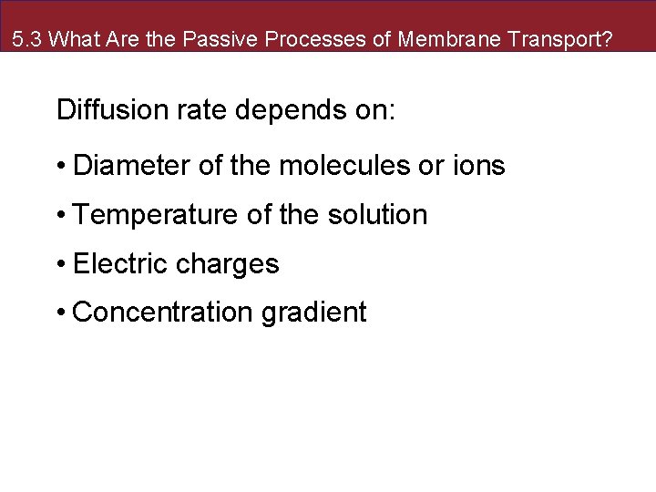 Passive Process 5 The Dynamic Cell Membrane 5 1 What