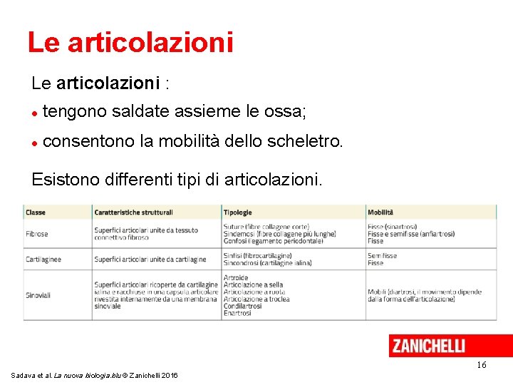 Le articolazioni : tengono saldate assieme le ossa; consentono la mobilità dello scheletro. Esistono