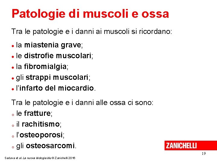 Patologie di muscoli e ossa Tra le patologie e i danni ai muscoli si