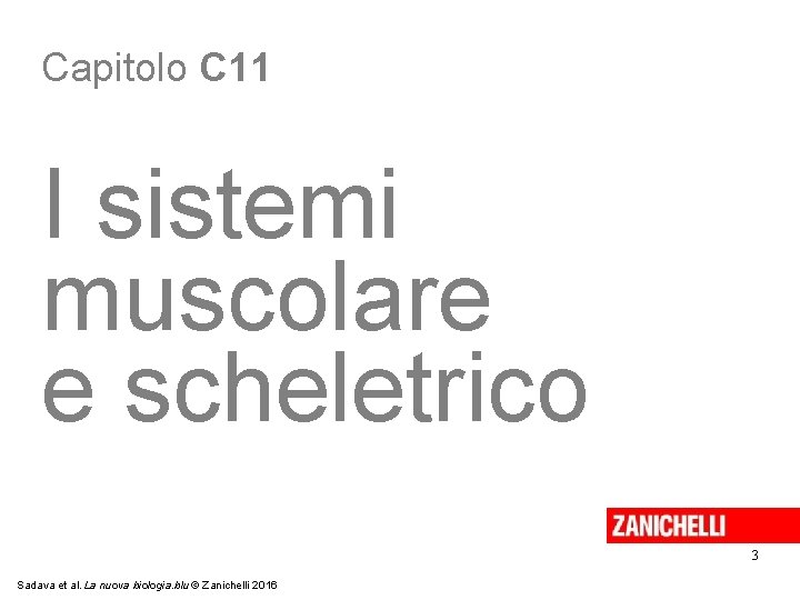 Capitolo C 11 I sistemi muscolare e scheletrico 3 Sadava et al. La nuova