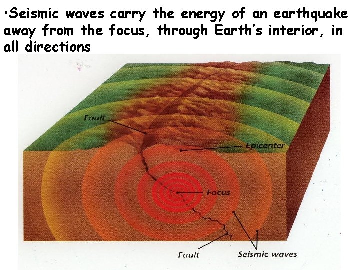  • Seismic waves carry the energy of an earthquake away from the focus,