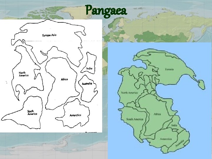 Pangaea 