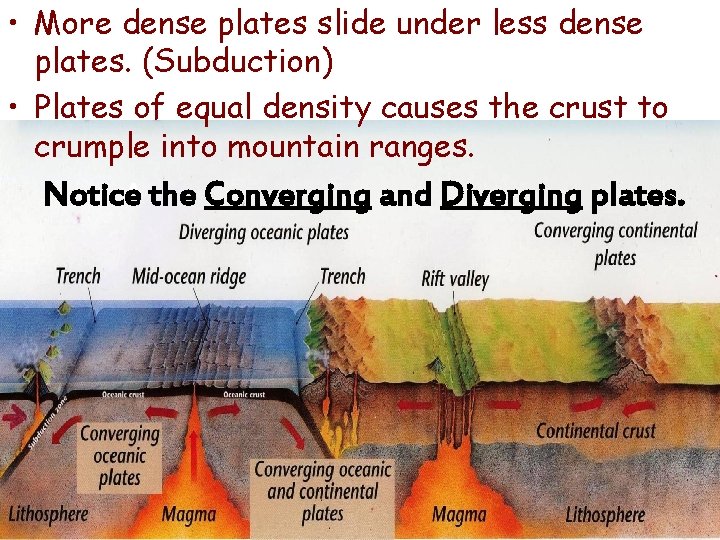  • More dense plates slide under less dense plates. (Subduction) • Plates of