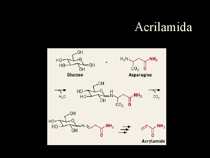 Acrilamida 