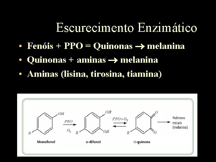 Escurecimento Enzimático • Fenóis + PPO = Quinonas melanina • Quinonas + aminas melanina