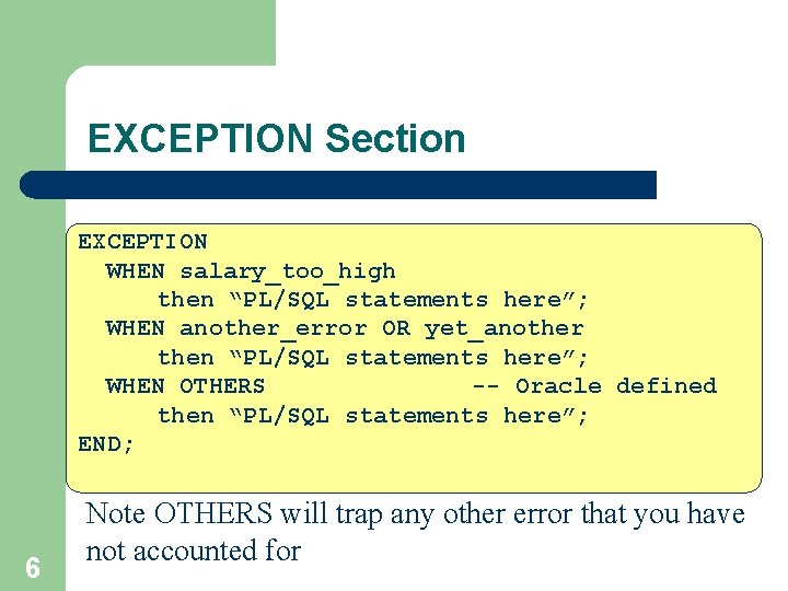 EXCEPTION Section EXCEPTION WHEN salary_too_high then “PL/SQL statements here”; WHEN another_error OR yet_another then