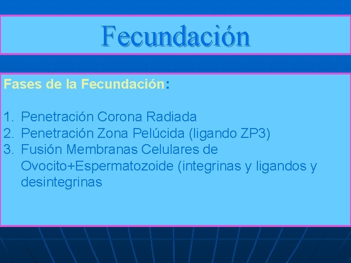Fecundación Fases de la Fecundación: 1. Penetración Corona Radiada 2. Penetración Zona Pelúcida (ligando Fecundación Fases de la Fecundación: 1. Penetración Corona Radiada 2. Penetración Zona Pelúcida (ligando
