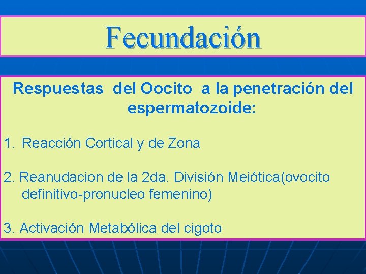 Fecundación Respuestas del Oocito a la penetración del espermatozoide: 1. Reacción Cortical y de Fecundación Respuestas del Oocito a la penetración del espermatozoide: 1. Reacción Cortical y de