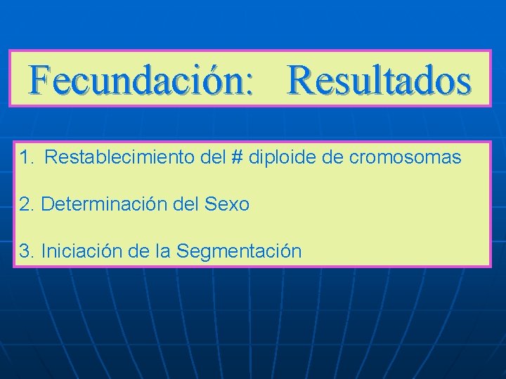 Fecundación: Resultados 1. Restablecimiento del # diploide de cromosomas 2. Determinación del Sexo 3. Fecundación: Resultados 1. Restablecimiento del # diploide de cromosomas 2. Determinación del Sexo 3.