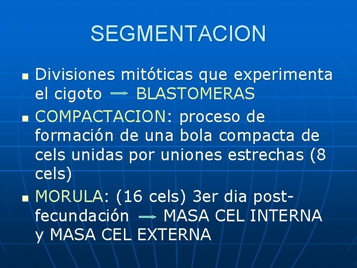 SEGMENTACION n n n Divisiones mitóticas que experimenta el cigoto BLASTOMERAS COMPACTACION: proceso de SEGMENTACION n n n Divisiones mitóticas que experimenta el cigoto BLASTOMERAS COMPACTACION: proceso de