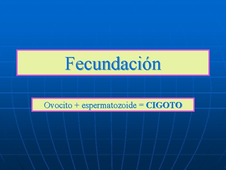 Fecundación Ovocito + espermatozoide = CIGOTO Fecundación Ovocito + espermatozoide = CIGOTO