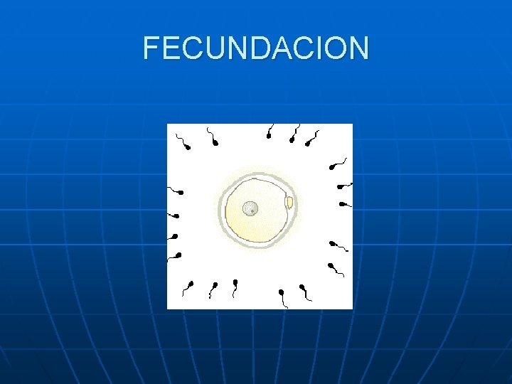 FECUNDACION FECUNDACION