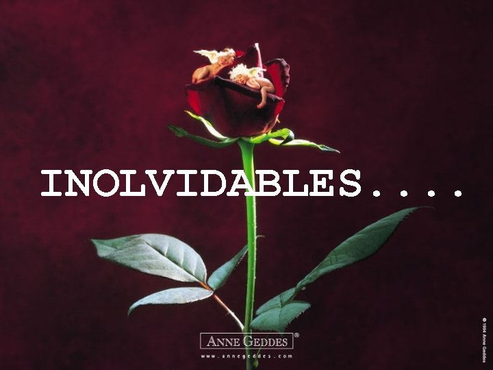 INOLVIDABLES. . 