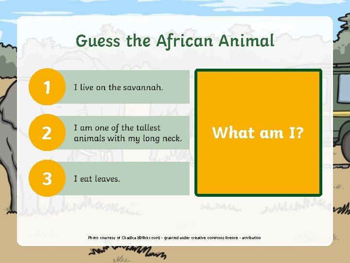 Guess the African Animal 1 2 What am I? 3 A giraffe! Photo courtesy