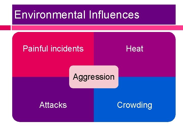 Environmental Influences Painful incidents Heat Aggression Attacks Crowding 