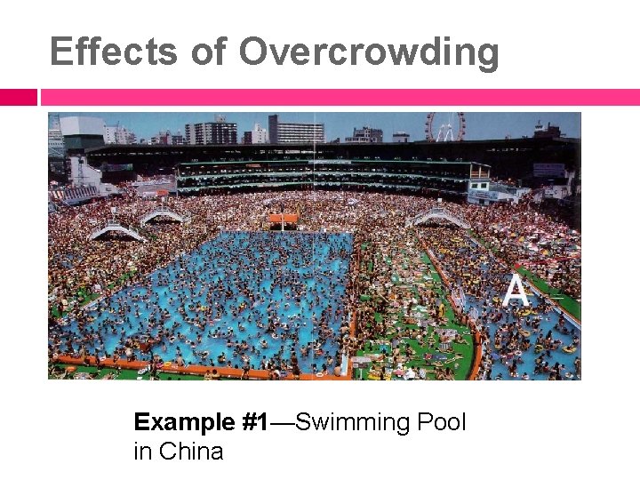 Effects of Overcrowding Example #1—Swimming Pool in China 