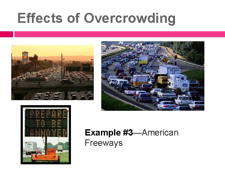 Effects of Overcrowding Example #3—American Freeways 