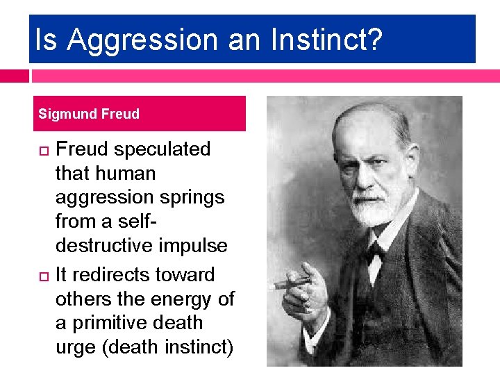 Is Aggression an Instinct? Sigmund Freud speculated that human aggression springs from a selfdestructive