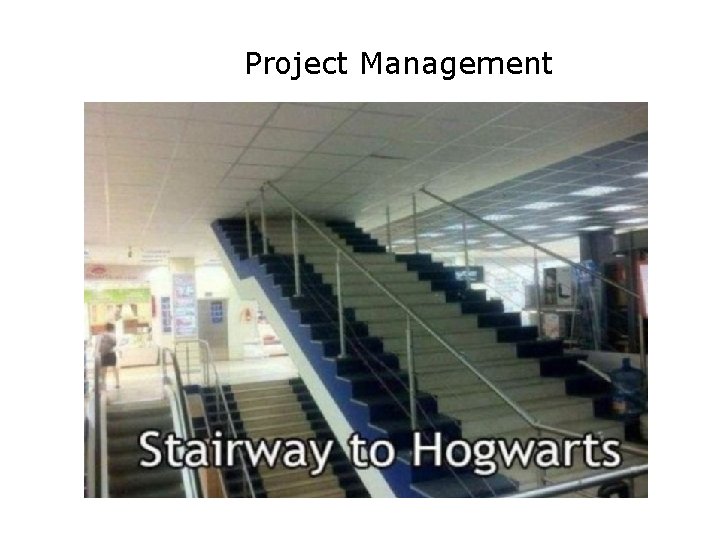 Project Management 