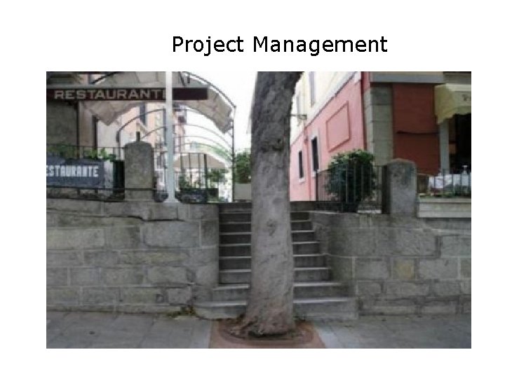 Project Management 