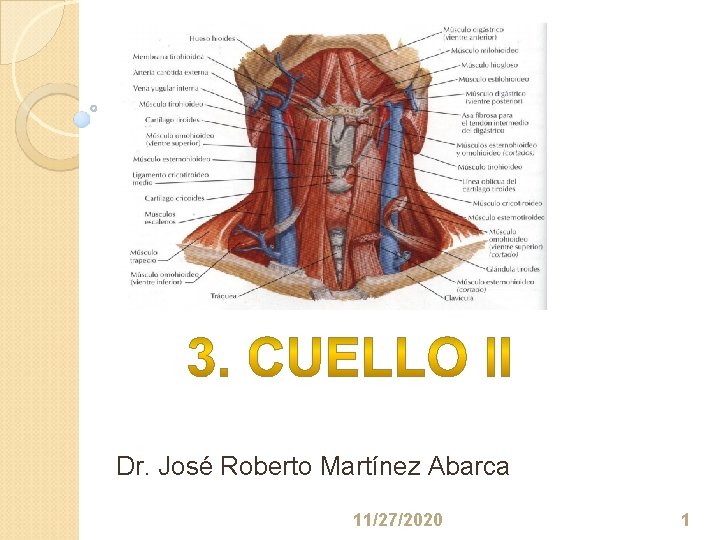 Dr. José Roberto Martínez Abarca 11/27/2020 1 