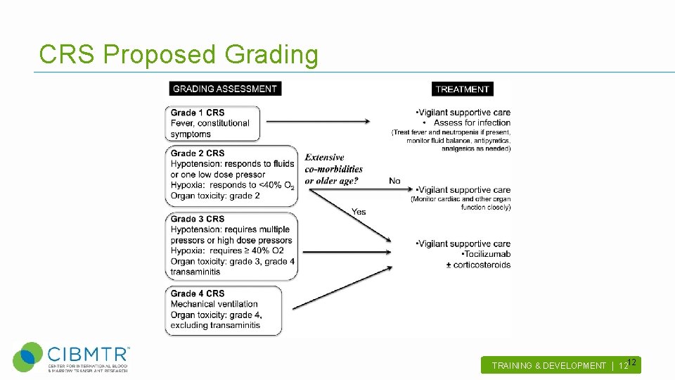 CRS Proposed Grading 12 TRAINING & DEVELOPMENT | 12 . 