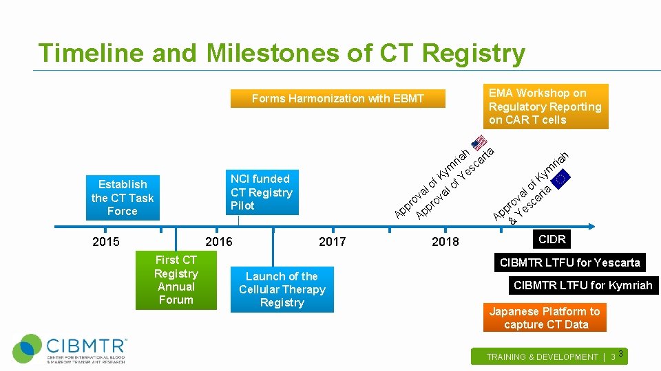 Timeline and Milestones of CT Registry Forms Harmonization with EBMT Establish the CT Task