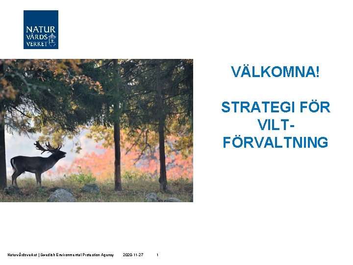 VÄLKOMNA! STRATEGI FÖR VILTFÖRVALTNING Naturvårdsverket | Swedish Environmental Protection Agency 2020 -11 -27 1