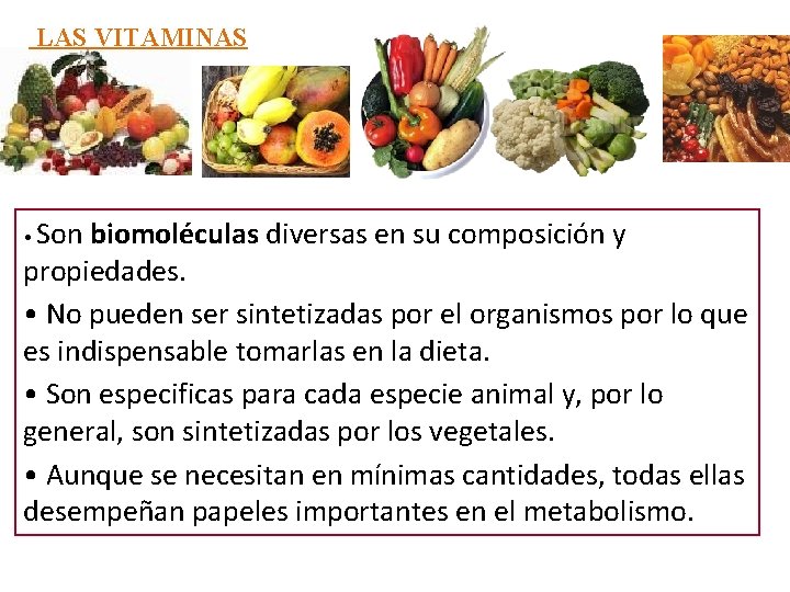 LAS VITAMINAS Son biomoléculas diversas en su composición y propiedades. • No pueden ser