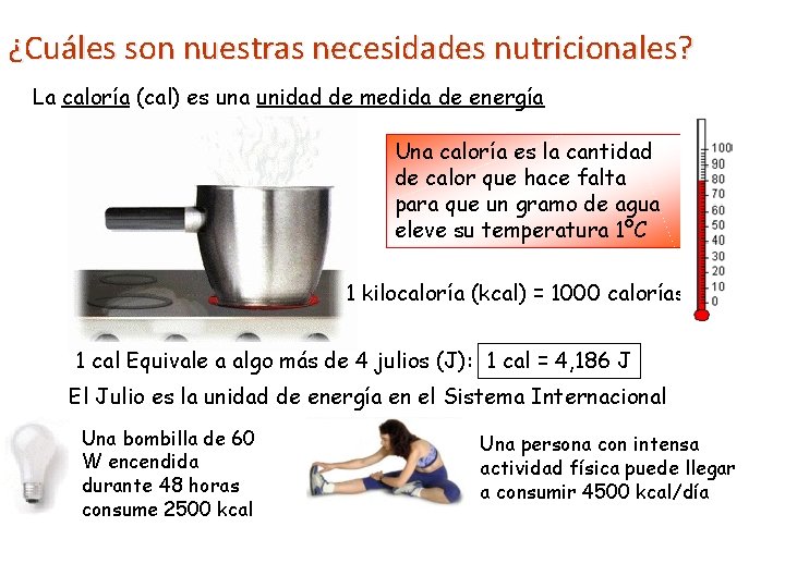 ¿Cuáles son nuestras necesidades nutricionales? La caloría (cal) es una unidad de medida de