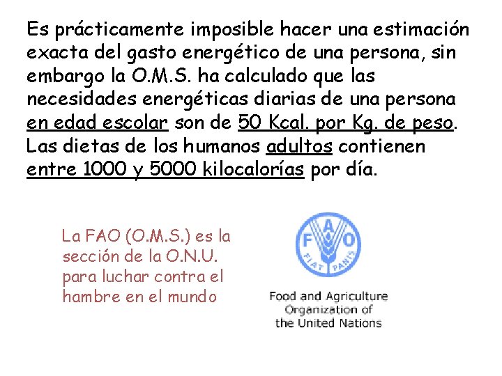 Es prácticamente imposible hacer una estimación exacta del gasto energético de una persona, sin