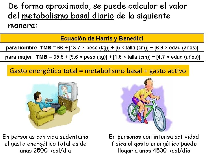 De forma aproximada, se puede calcular el valor del metabolismo basal diario de la