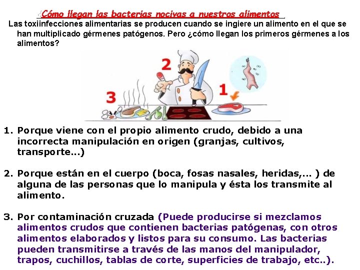 ¿Cómo llegan las bacterias nocivas a nuestros alimentos ? Las toxiinfecciones alimentarias se producen