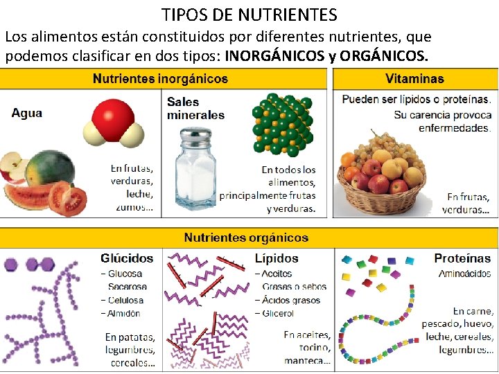 TIPOS DE NUTRIENTES Los alimentos están constituidos por diferentes nutrientes, que podemos clasificar en