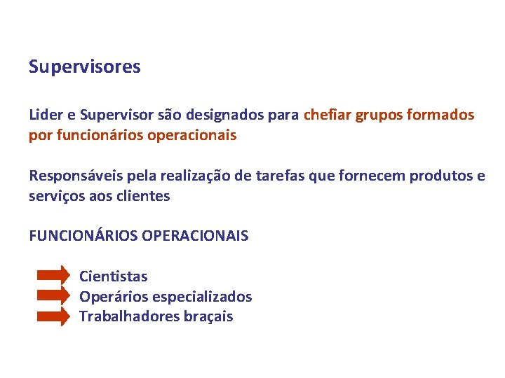 Supervisores Lider e Supervisor são designados para chefiar grupos formados por funcionários operacionais Responsáveis