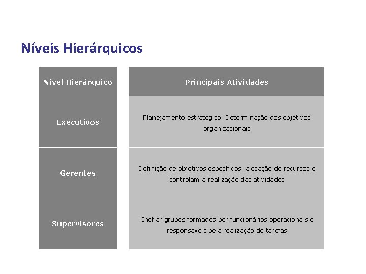 Níveis Hierárquicos Nível Hierárquico Executivos Gerentes Supervisores Profº Daniel Marim Principais Atividades Planejamento estratégico.