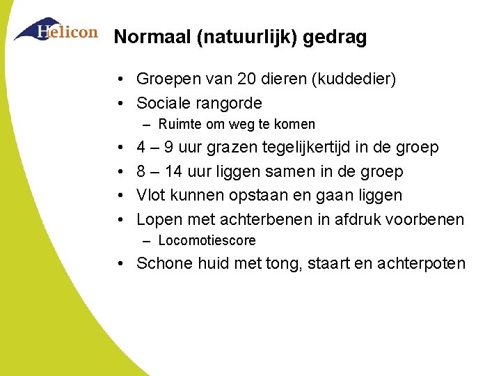 Normaal (natuurlijk) gedrag • Groepen van 20 dieren (kuddedier) • Sociale rangorde – Ruimte