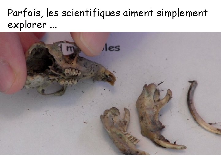 Parfois, les scientifiques aiment simplement explorer. . . 