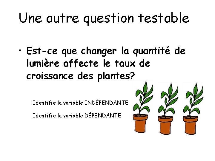 Une autre question testable • Est-ce que changer la quantité de lumière affecte le