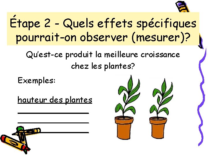 Étape 2 - Quels effets spécifiques pourrait-on observer (mesurer)? Qu’est-ce produit la meilleure croissance