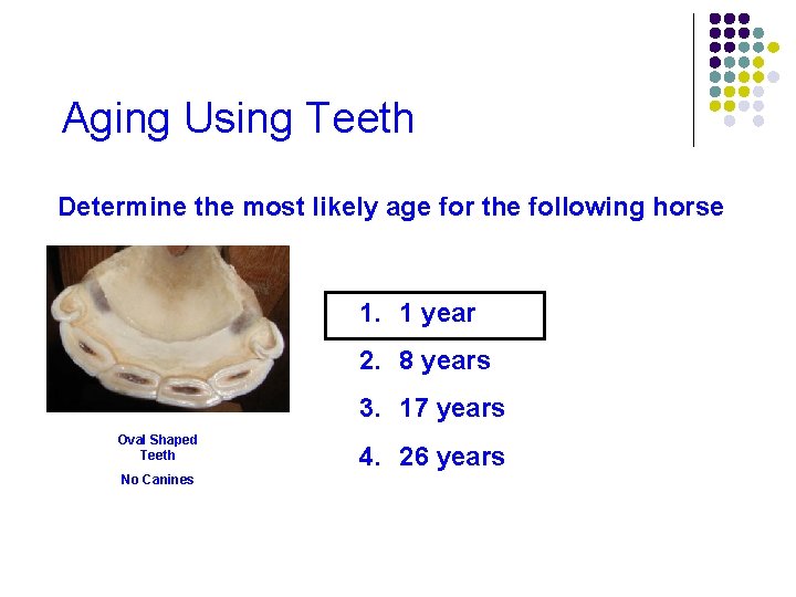 Aging Using Teeth Determine the most likely age for the following horse 1. 1