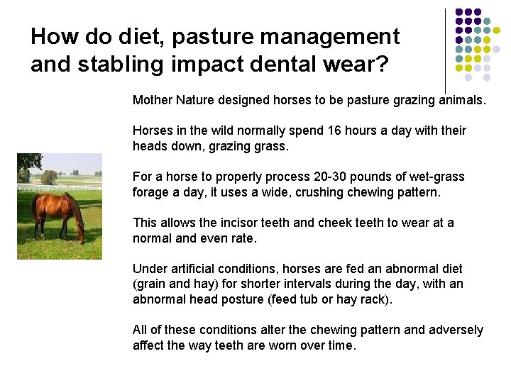 How do diet, pasture management and stabling impact dental wear? Mother Nature designed horses