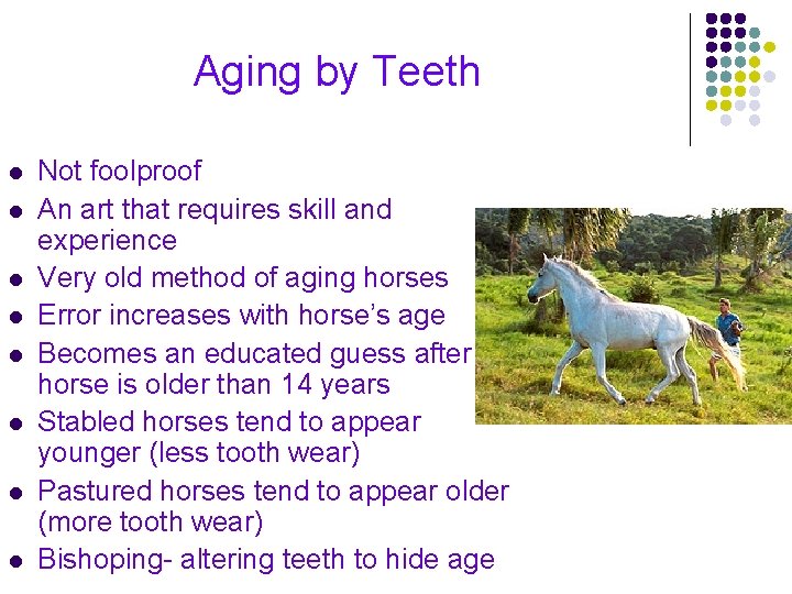 Aging by Teeth l l l l Not foolproof An art that requires skill